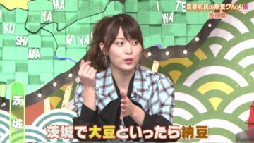 221222 Himitsu no Kenmin SHOW Kwiami & DOWNTOWN DX Super Luxurious Fusion Special! – AKB48 Okabe Rin – HD.mp4-00007