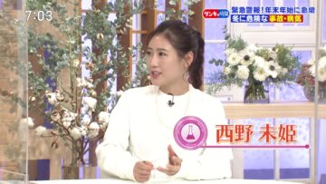 221225 Kenkou Capsule! Genki no Jikan – ex-AKB48 Nishino Miki – HD.mp4-00001