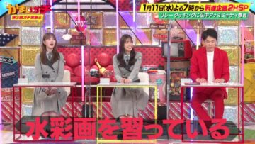 221230 Year-end Variety Viewers Request Kamai Gachi – Hinatazaka46 Kato Shiho, Sasaki Kumi – HD.mp4-00003
