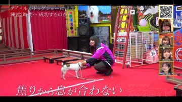230212 SKE48 no Mikanzen TV – HD.mp4-00002