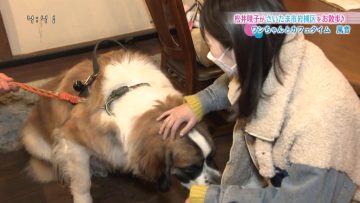 230220 Anata to Tsukuru Machi Communication Jouhou Bangumi ‘Machikomi’ Net – ex-AKB48 Matsui Sakiko Cut – HD.mp4-00006