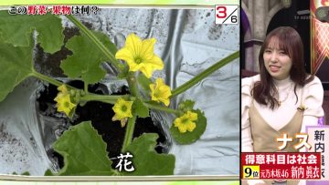 230220 Quiz Presen Variety Q Sama!! – ex-Nogizaka46 Takayama Kazumi, Shinuchi Mai – HD.mp4-00014