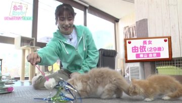 230222 Neko Nyan! Kawaii Koneko Dai Shuugou – ex-AKB48 Yokoyama Yui – HD.mp4-00006