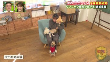 230305 Doubutsu-sama no Iu Touri – NMB48 Shibuya Nagisa & ex-AKB48 Noro Kayo – HD.mp4-00002