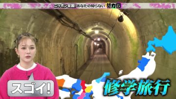 230305 Nippon Zenkoku! Anata no Shiranai Seiryokuzu – ex-HKT48 Murashige Anna – HD.mp4-00001