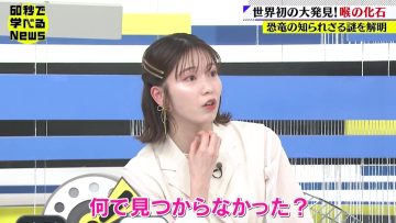 230308 Nikkei Special 60-byou de Manaberu News – ex-AKB48 Yokoyama Yui – HD.mp4-00016