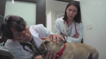 230312 Sunday Suspense Pet Doctor Hanasaki Mantaro no Jiken Karute – ex-AKB48 Akmoto Sayaka – HD.mp4-00009