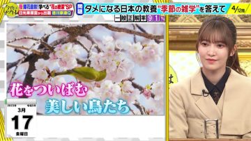 230314 Konya wa Nazotore – Sakurazaka46 Onuma Akiho – HD.mp4-00001