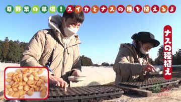 230319 Tane kara Ueru TV – ex-AKB48 Nishino Miki – HD.mp4-00008