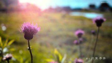 230323 Koyomi Tabi Nippon – ex-AKB48 Kawaei Rina – HD.mp4-00006