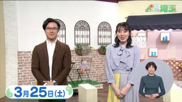 230325 Ima Doki! Saitama – ex-AKB48 Matsui Sakiko – HD.mp4-00002