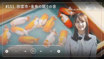 230410 Nogizaka46 Sato Kaede Neiroisan ~Aichi 69-shiku Chouson no Oto Atsume~ 151 – Nogizaka46 Sato Kaede – HD