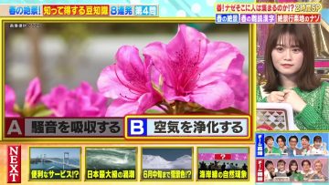 230411 Senzai Nouryoku Test – ex-Nogizaka46 Yamazaki Rena – HD.mp4-00007