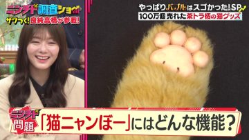 230420 Ninchido Chousa Show 2Hours SP – Sakurazaka46 Tamura Hono – HD.mp4-00001