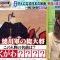 230425 Konya wa Nazotore – Sakurazaka46 Takemoto Yui – HD.mp4-00007