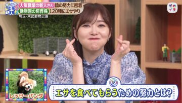 230429 Zeroichi – ex-HKT48 Sashihara Rino – HD.mp4-00001