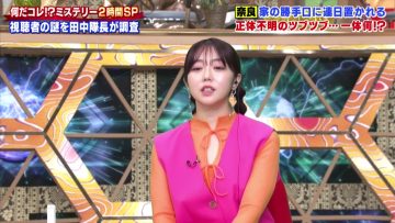 230503 Sekai no Nandakore! Mystery SP – ex-AKB48 Minegishi Minami – HD.mp4-00015