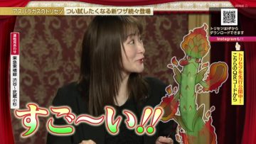 230511 Ashita ga Kawaru Torisetsu Show – ex-Nogizaka46 Ikoma Rina – HD.mp4-00003