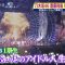 230521 Nogizaka46 Saito Asuka’s TV News – Shuichi – HD.mp4-00001