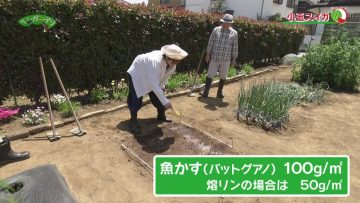 230521 Syumi no Engei Yasai no Jikan – ex-AKB48 Oya Shizuka – HD.mp4-00008