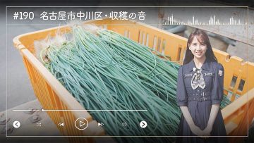 230525 Nogizaka46 Sato Kaede Neiroisan ~Aichi 69-shiku Chouson no Oto Atsume~ 190 – Nogizaka46 Sato Kaede – HD