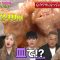 230526 Uwasa no Okyaku-sama – AKB48 Honda Hitomi – HD.mp4-00001