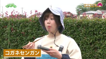 230604 Syumi no Engei Yasai no Jikan – ex-AKB48 Oya Shizuka – HD.mp4-00001