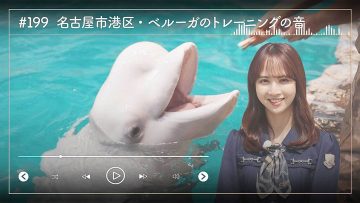 230605 Nogizaka46 Sato Kaede Neiroisan ~Aichi 69-shiku Chouson no Oto Atsume~ 199 – Nogizaka46 Sato Kaede – HD