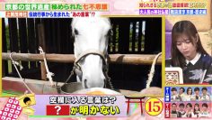 230606 Senzai Nouryoku Test – ex-Nogizaka46 Kitano Hinako – HD.mp4-00004