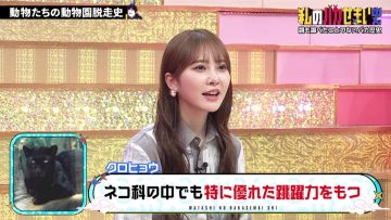 230608 Watashi no Baka Semai Shi – Hinatazaka46 Kato Shiho – HD.mp4-00011