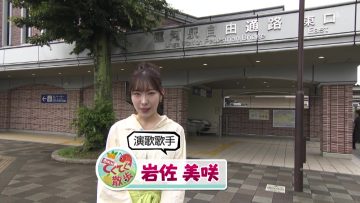 230609 Shichouson Tekuteku Sanpo – ex-AKB48 Iwasa Misaki – HD.mp4-00014