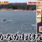 230610 Tanoshiku Manabu! Sekai Douga News – Nogizaka46 Ioki Mao – HD.mp4-00015