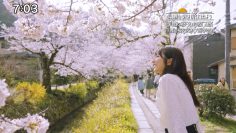 230611 Nichiyou no Asa wa Tabi ni Deyou – AKB48 Nagatomo Ayami – HD.mp4-00001