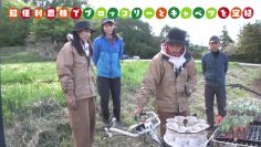 230611 Tane kara Ueru TV – ex-AKB48 Nishino Miki – HD.mp4-00006