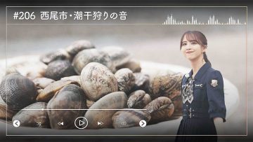 230613 Nogizaka46 Sato Kaede Neiroisan ~Aichi 69-shiku Chouson no Oto Atsume~ 206 – Nogizaka46 Sato Kaede – HD