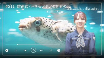 230619 Nogizaka46 Sato Kaede Neiroisan ~Aichi 69-shiku Chouson no Oto Atsume~ 211 – Nogizaka46 Sato Kaede – HD