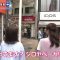 230621 Asadesu. KBC – HKT48 Matsuoka Hana Cut – HD.mp4-00006