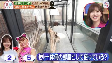 230701 Zeroichi 1030 – ex-HKT48 Sashihara Rino – HD.mp4-00001