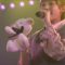 230703 AKB48 Theater Performance 1830 – HD.mp4