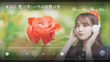 230728 Nogizaka46 Sato Kaede Neiroisan ~Aichi 69-shiku Chouson no Oto Atsume~ 245 – Nogizaka46 Sato Kaede – HD