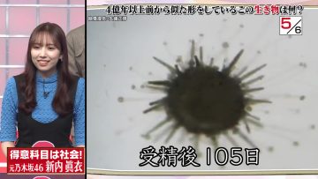 [230807-2023][テレビ朝日]Ｑさま!!.mp4-00002