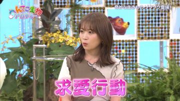 230808 Henteko Seibutsu Academy – ex-Nogizaka46 Akimoto Manatsu – HD.mp4-00009
