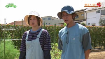 230813 Syumi no Engei Yasai no Jikan – ex-AKB48 Oya Shizuka – HD.mp4-00008