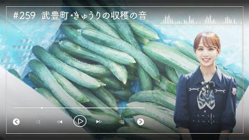 230814 Nogizaka46 Sato Kaede Neiroisan ~Aichi 69-shiku Chouson no Oto Atsume~ 259 – Nogizaka46 Sato Kaede – HD