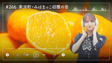 230822 Nogizaka46 Sato Kaede Neiroisan ~Aichi 69-shiku Chouson no Oto Atsume~ 266 – Nogizaka46 Sato Kaede – HD