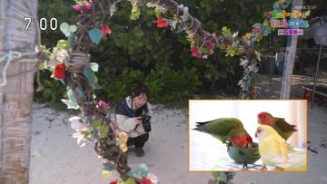 230824 Irotoridori! Tanchou Zekkei Tabi – ex-SKE48 Takayanagi Akane – HD.mp4-00007