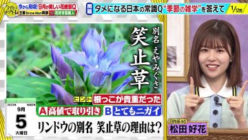 230905 Konya wa Nazotore – Hinatazaka46 Matsuda Konoka – HD.mp4-00005