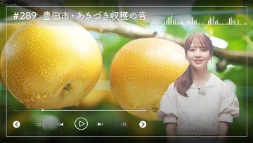 230918 Nogizaka46 Sato Kaede Neiroisan ~Aichi 69-shiku Chouson no Oto Atsume~ 289 – Nogizaka46 Sato Kaede – HD