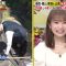 230921 Naze Soko – ex-Nogizaka46 Akimoto Manatsu – HD.mp4-00009