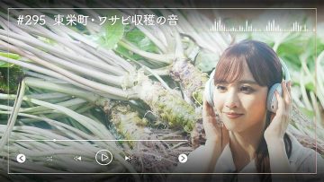 230925 Nogizaka46 Sato Kaede Neiroisan ~Aichi 69-shiku Chouson no Oto Atsume~ 295 – Nogizaka46 Sato Kaede – HD